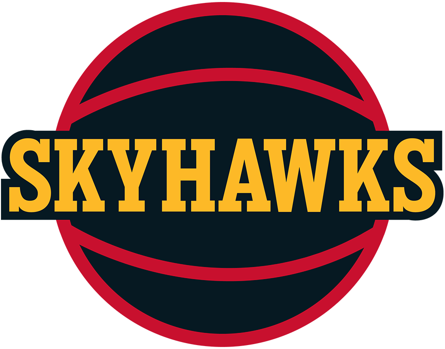 College Park Skyhawks 2019-Pres Alternate Logo iron on transfers for clothing